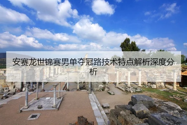 安赛龙世锦赛男单夺冠路技术特点解析深度分析