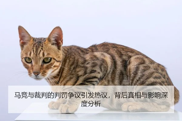 ma-jing-yu-cai-pan-de-pan-fa-zheng-yi-yin-fa-re-yi-bei-hou-zhen-xiang-yu-ying-xiang-shen-du-fen-xi-2-531.jpg